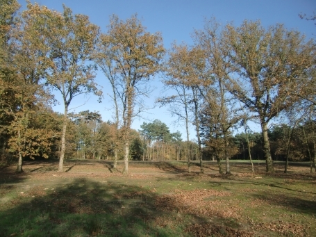 Leudal NL : Ortsteil Nunhem, das Leudal ist ein hoch gelegenes Naturschutzgebiet am Westufer der Maas. Es haben sich typische Bach-Auenlandschaften gebildet.